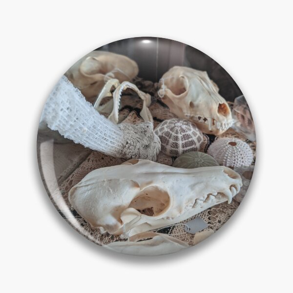 Item preview, The Curio Shelf 2 designed and sold by NOddShop.