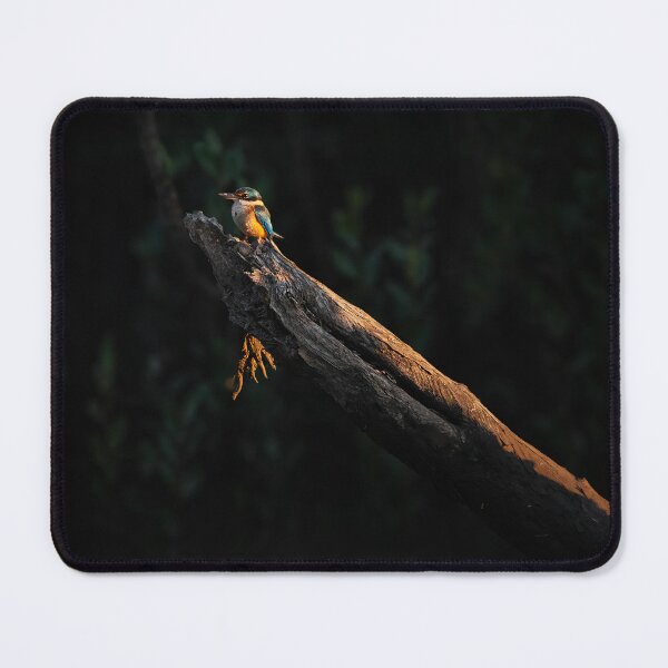Item preview, Sacred Kingfisher designed and sold by robdanimalphotography.