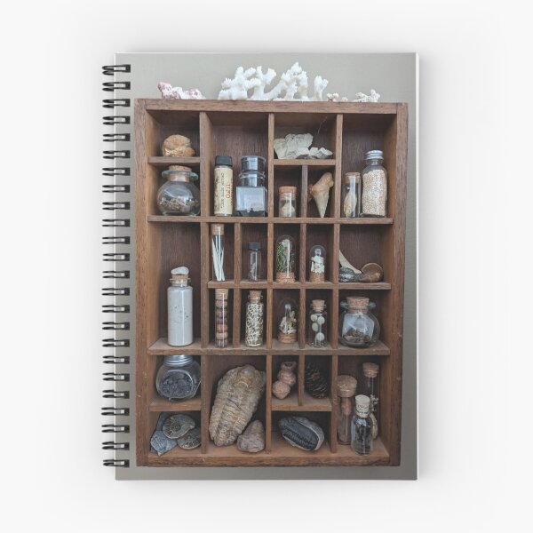 Item preview, The Curio Shelf designed and sold by NOddShop.