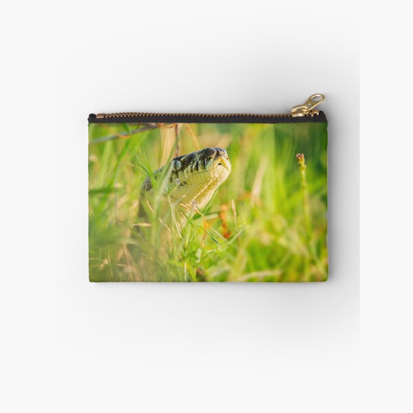 Item preview, Carpet Python designed and sold by robdanimalphotography.