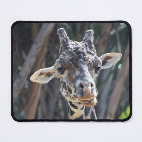 Item preview, Giraffe-ternoon designed and sold by RogueDecor.