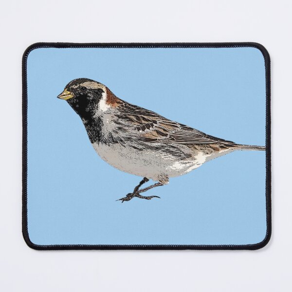 Item preview, Lapland Longspur Color Design designed and sold by designsasstultd.