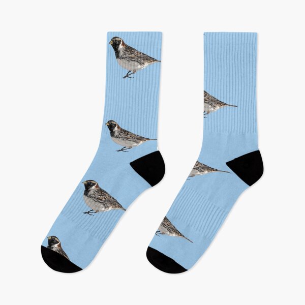 Item preview, Lapland Longspur Color Design  designed and sold by designsasstultd.