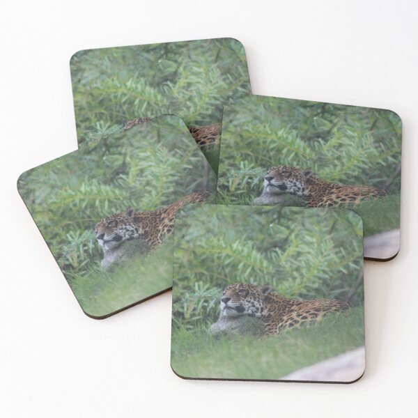 Item preview, Jaguar Naptime designed and sold by RogueDecor.