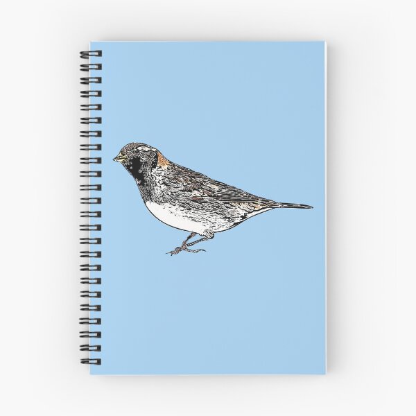 Item preview, Lapland Longspur Black Alternate Design  designed and sold by designsasstultd.