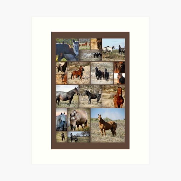 Item preview, Wild Brumbies Wall Art Collage designed and sold by DiamondR.