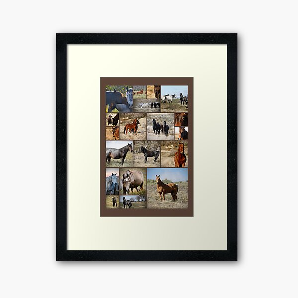 Item preview, Wild Brumbies Wall Art Collage designed and sold by DiamondR.
