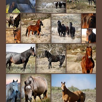 Artwork thumbnail, Wild Brumbies Wall Art Collage by DiamondR