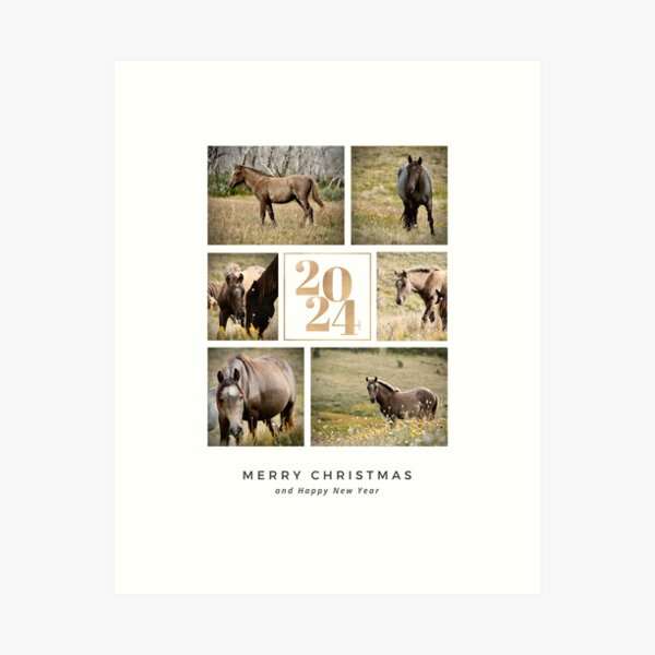 Item preview, 2024 Brumbies Belong Christmas Card designed and sold by DiamondR.