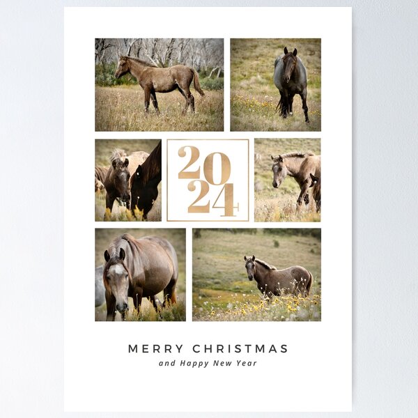 Item preview, 2024 Brumbies Belong Christmas Card designed and sold by DiamondR.