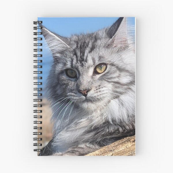 Item preview, Maine coon cat designed and sold by Fluffycat2020.