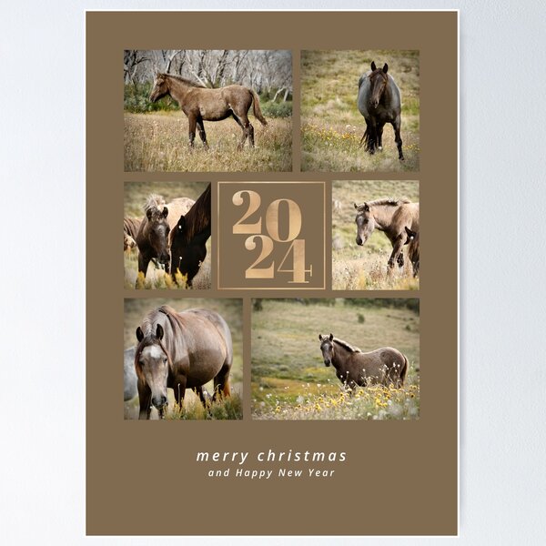 Item preview, 2024 Brumby Christmas Greeting Card designed and sold by DiamondR.
