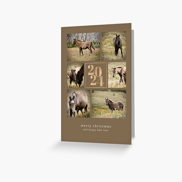 Item preview, 2024 Brumby Christmas Greeting Card designed and sold by DiamondR.