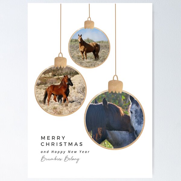 Item preview, Brumbies Belong Christmas Card for any year designed and sold by DiamondR.