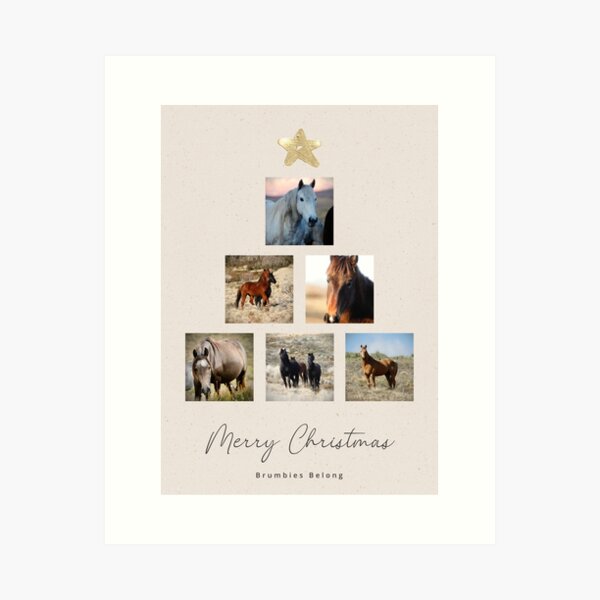 Item preview, Brumbies Belong Christmas Card designed and sold by DiamondR.