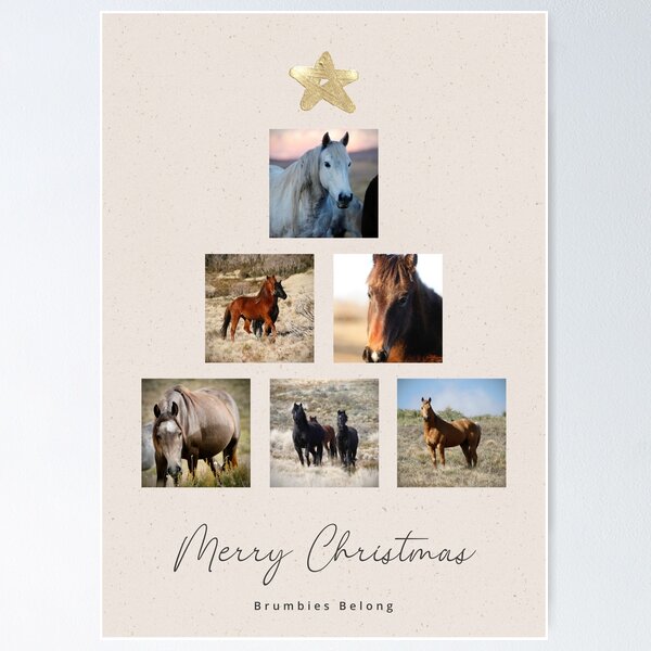 Item preview, Brumbies Belong Christmas Card designed and sold by DiamondR.