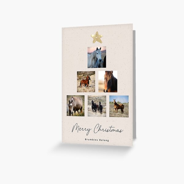 Item preview, Brumbies Belong Christmas Card designed and sold by DiamondR.