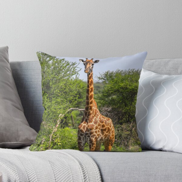 Item preview, Tanzania. Tarangire National Park. Giraffe. designed and sold by vadim19.