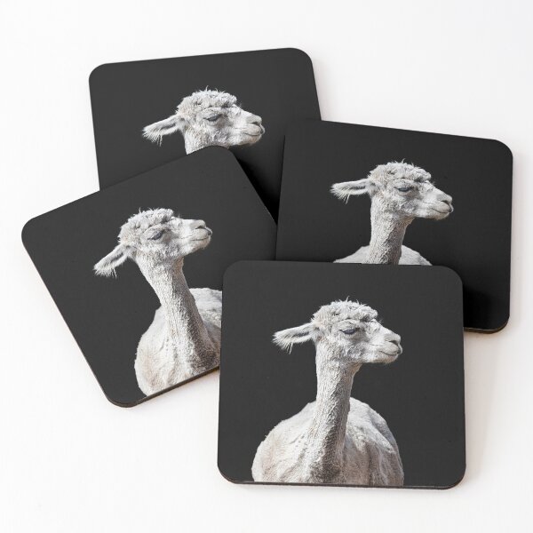 Item preview, Snooty Alpaca. designed and sold by Alex Preiss.