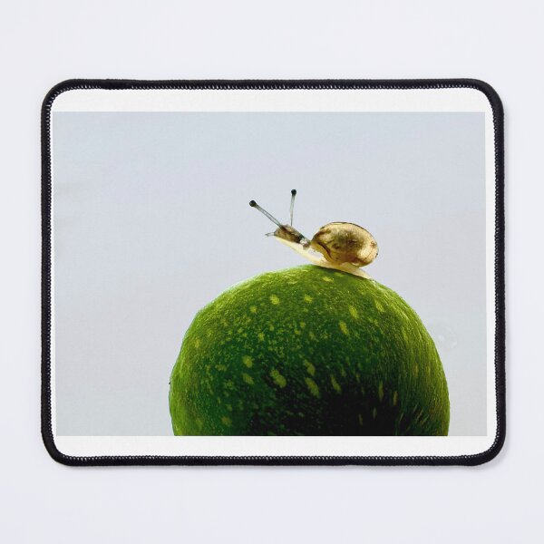 Item preview, Schnecke, snail designed and sold by Ute Mannhardt.