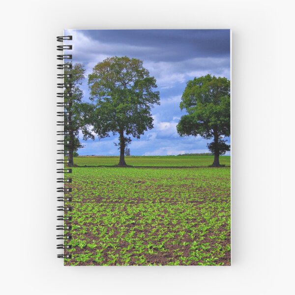 Item preview, A Green Field & Dramatic Sky designed and sold by Jo Nijenhuis.