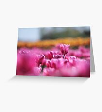 Field of Pink Greeting Card