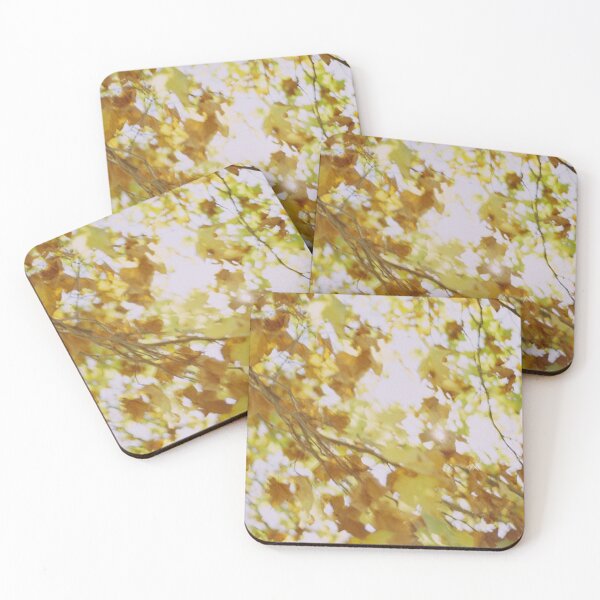Item preview, Golden Autumn Leaves in Sunlight - Film Photography designed and sold by shotsbyjj.