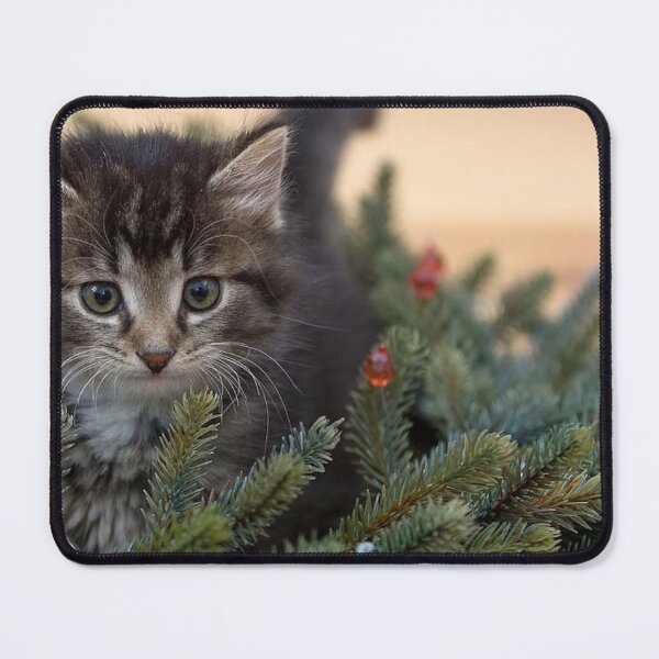 Item preview, COZY CHRISTMAS SEASON designed and sold by THE AMERICAN TEEVANGELIST.