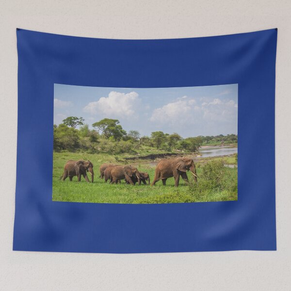 Item preview, Tanzania. Tarangire National Park. Elephants. designed and sold by vadim19.
