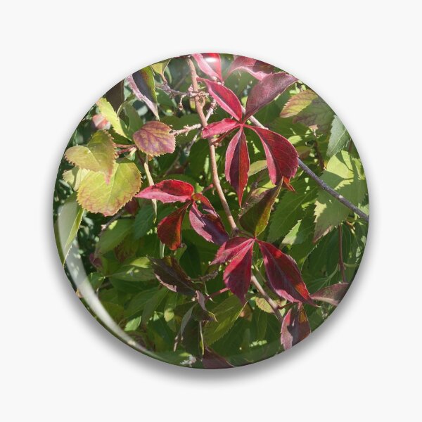 Item preview, Contrasting Leaves in Early Autumn  designed and sold by Amanda1775.