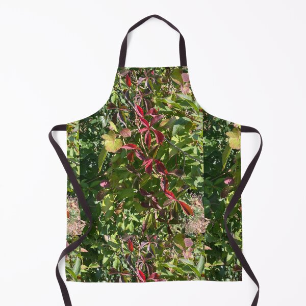 Item preview, Contrasting Leaves in Early Autumn designed and sold by Amanda1775.
