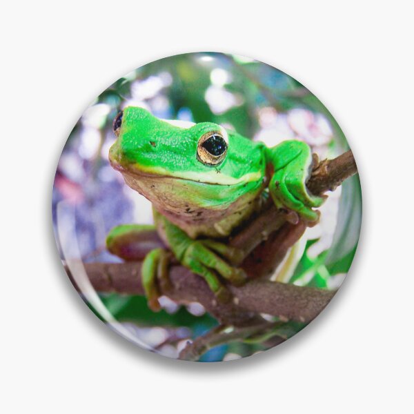 Item preview, Smiling Green Treefrog designed and sold by TrishAbyss.