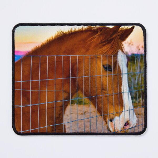 Item preview, Gorgeous Chestnut Horse with White Stripe at Sunset designed and sold by Yogibear & Rachelle .