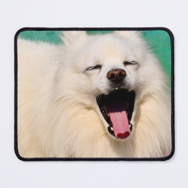 Item preview, Funny Samoyed Dog laughing Tongue Out designed and sold by Yogibear & Rachelle .