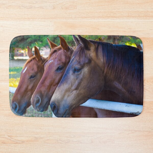 Item preview, 3 Amigos Trio of Quarter Horses with Star Markings  Fine Art Print designed and sold by Yogibear & Rachelle .