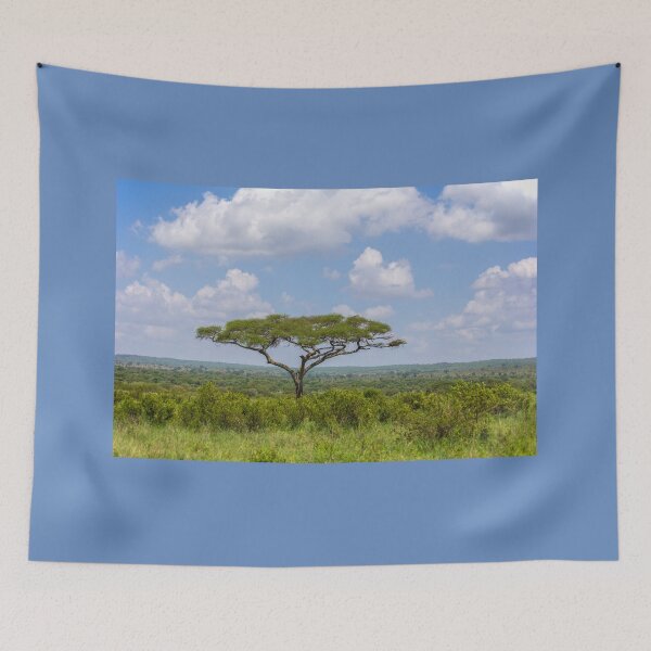 Item preview, Tanzania. Tarangire National Park. Acacia. designed and sold by vadim19.