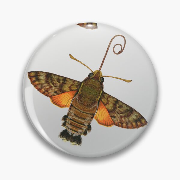 Item preview, HUMMINGBIRD HAWK-MOTH designed and sold by joancaronil.