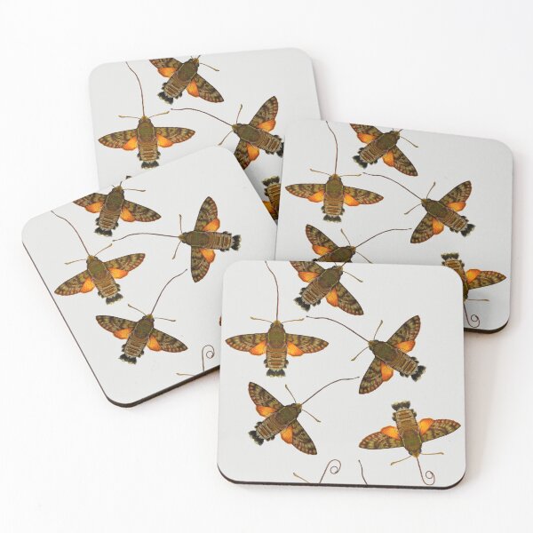 Item preview, HUMMINGBIRD HAWK-MOTH designed and sold by joancaronil.