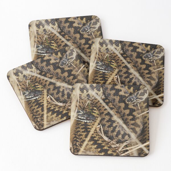 Item preview, Ashdown Adders. designed and sold by Christian Moss.