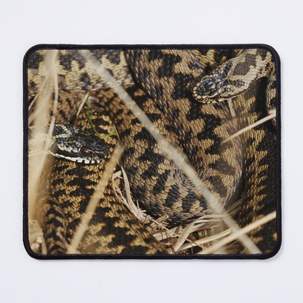 Item preview, Ashdown Adders. designed and sold by Christian Moss.