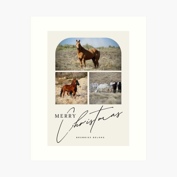 Item preview, Brumbies Belong Christmas Card or Notebook Cover designed and sold by DiamondR.
