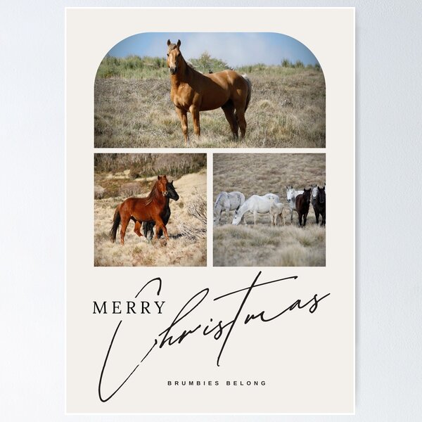 Item preview, Brumbies Belong Christmas Card or Notebook Cover designed and sold by DiamondR.