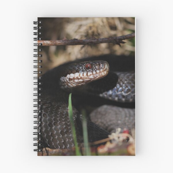 Item preview, Black Adder - Ashdown Forest. designed and sold by Christian Moss.