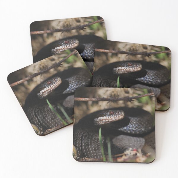 Item preview, Black Adder - Ashdown Forest. designed and sold by Christian Moss.