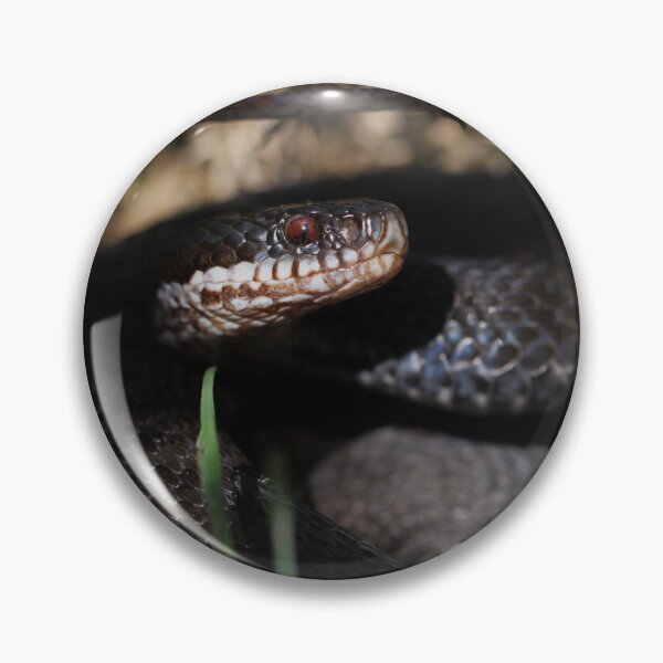 Item preview, Black Adder - Ashdown Forest. designed and sold by Christian Moss.