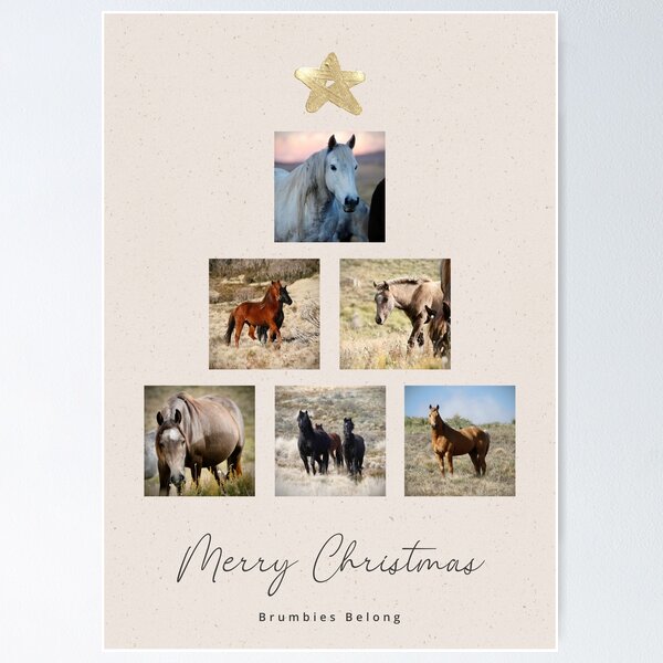 Item preview, Brumbies Belong Christmas Card or Notebook Cover designed and sold by DiamondR.