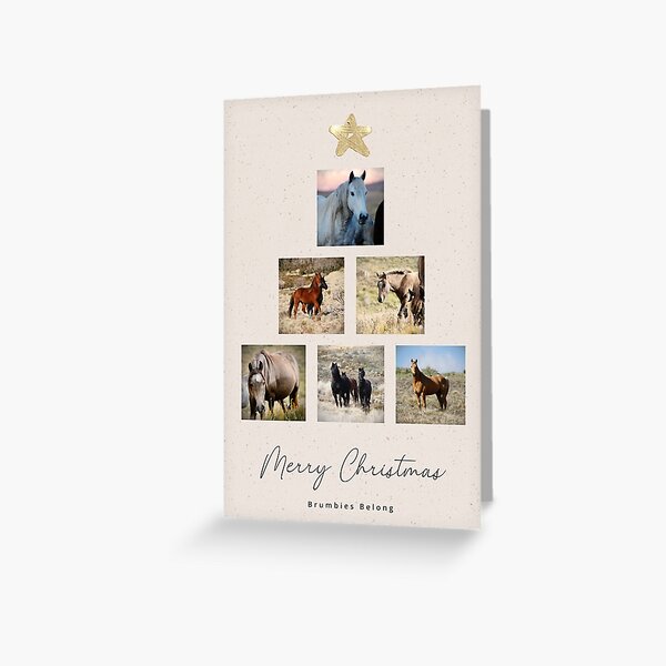 Item preview, Brumbies Belong Christmas Card or Notebook Cover designed and sold by DiamondR.