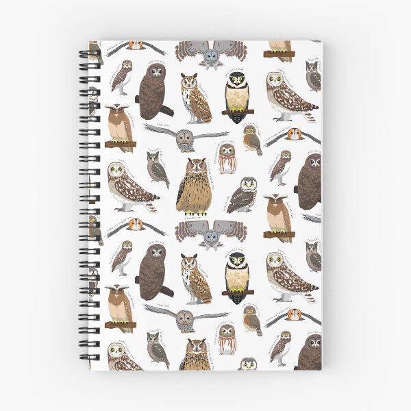 Item preview, Owl Bird Various Species Collection Set designed and sold by SUPERHERON.