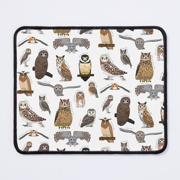 Item preview, Owl Bird Various Species Collection Set designed and sold by SUPERHERON.