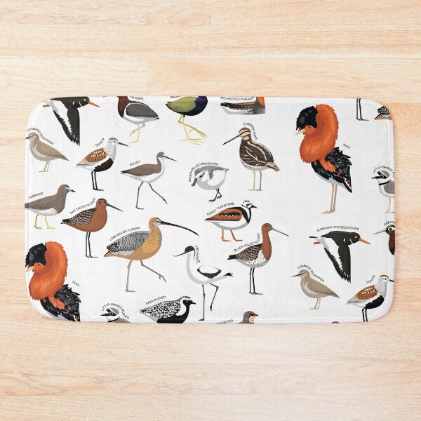 Item preview, Wader Bird Various Species Collection Set designed and sold by SUPERHERON.